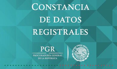 Constancia de datos registrales. Imagen: Gobierno de México.